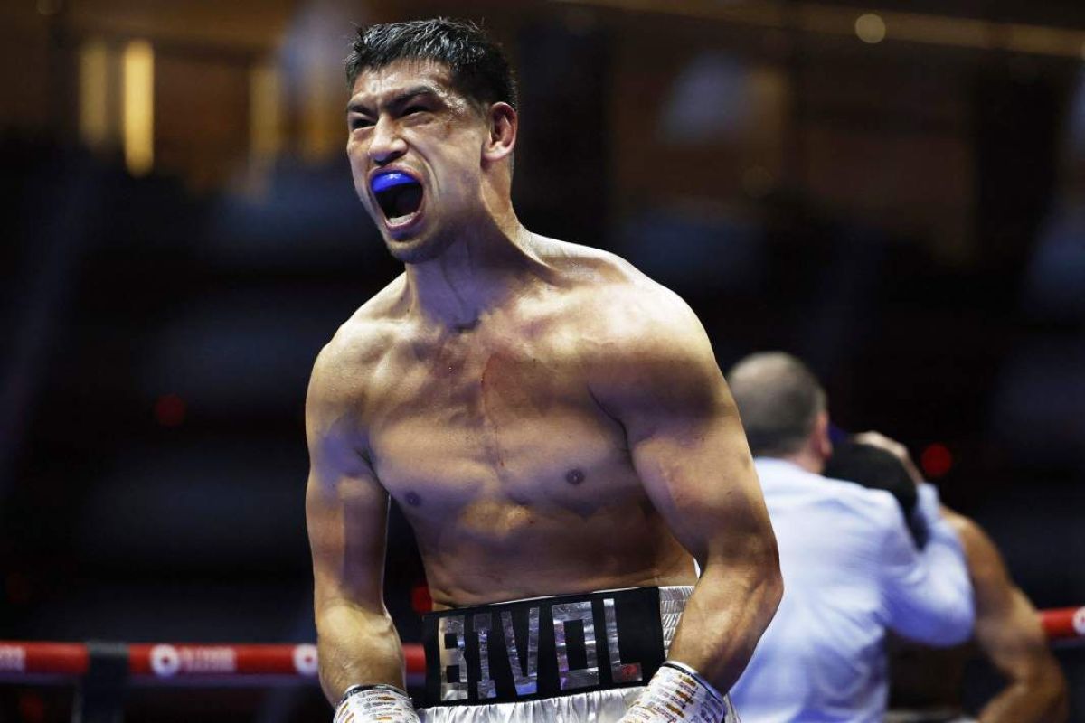 WBO Дмитрий Биволға қатысты шешім шығарды