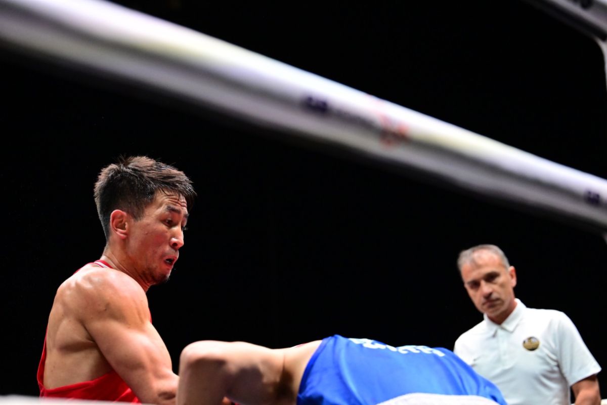 World Boxing Махмұд Сабырханның нокаутына жоғары баға берді