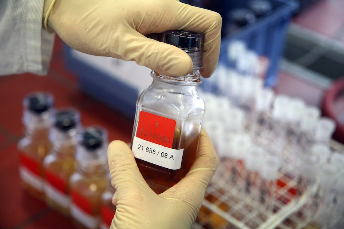 Қысқы Олимпиада: италиялық биатлоншы допинг дауына ілікті