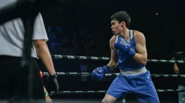 Жанкүйерлерге ауыр сөздер айтқан боксшы сенімді түрде жеңіске жетті