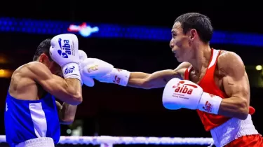 Теміртас Жүсіповке әділетсіз баға берілді – британдық сарапшы