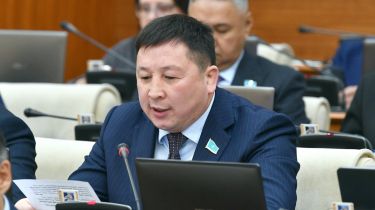 Депутат Олимпиадаға дайындыққа бөлінген 13,3 млрд теңге бойынша есеп талап етті