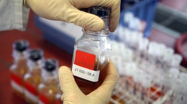 Қысқы Олимпиада: италиялық биатлоншы допинг дауына ілікті